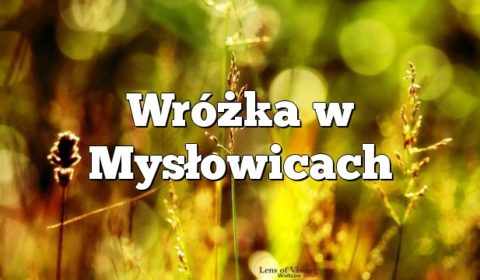 Wróżka w Mysłowicach